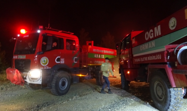 Kütahya - Bursa sınırında çıkan orman yangını söndürüldü   