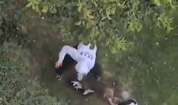 Maltepe’de pitbull sitenin bahçesindeki kediyi parçaladı