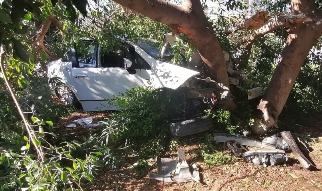 Mersin'de otomobil ağaca vurdu: 1 yaralı