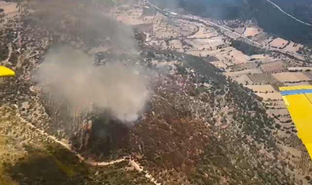 Muğla'da orman yangını!