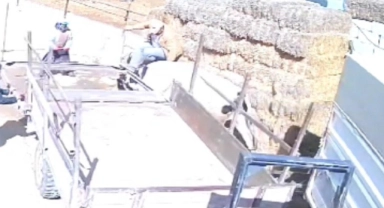 Nevşehir'de kızgın boğa ortalığı birbirine kattı