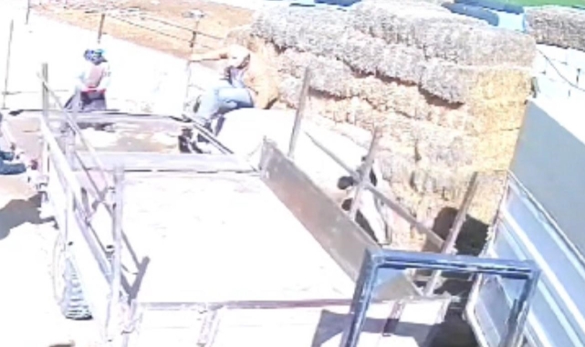 Nevşehir'de kızgın boğa ortalığı birbirine kattı