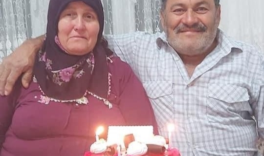 Ordu'da bahçede çalışan karı kocaya yaban domuzu saldırdı