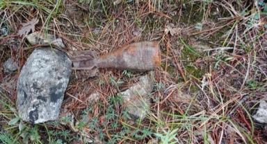 Ormanda patlamamış halde havan topu mermisi bulundu
