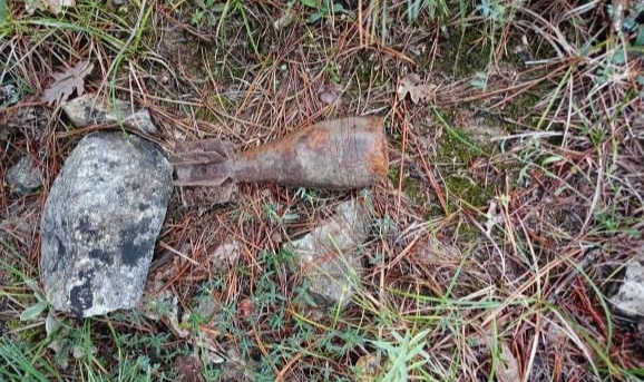Ormanda patlamamış halde havan topu mermisi bulundu