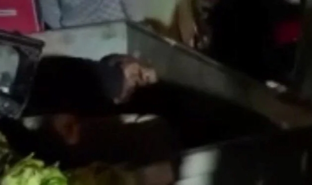 Parkta uygunsuz hareketler sergileyen kişiyi çöpe attılar