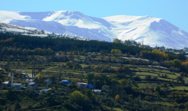 Posof’ta yeşil ile beyazın buluşması görsel şölen oluşturuyor