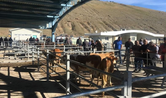 Sarıkamış hayvan pazarı ilgi bekliyor