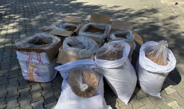 Sinop'ta kaçakçılık operasyonu!