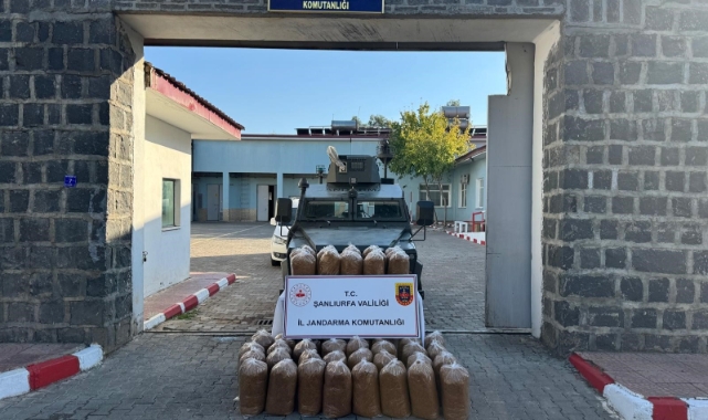 Siverek'te 240 kilo kaçak tütün ele geçirildi