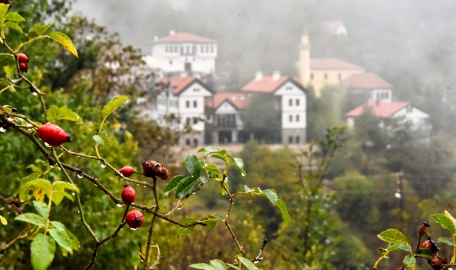 Tarihi Süleymaniye Mahallesi'nde sisli sonbahar güzelliği
