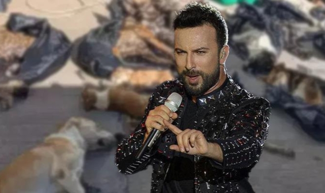 Tarkan'dan hayvan katliamına sert tepki