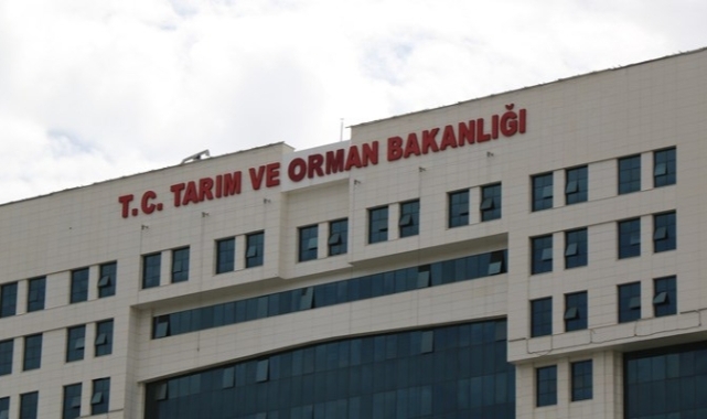 Tek tırnak eti nedir?
