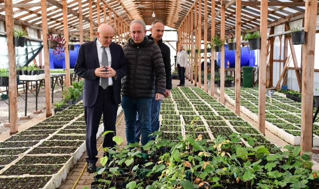 Terme'de mevsimlik çiçekler toprakla buluşmaya hazırlanıyor
