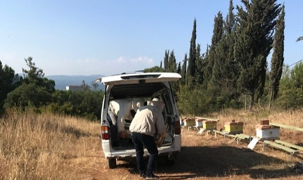 Üniversitenin zarar gören arı kovanları üretici desteğiyle yenilendi