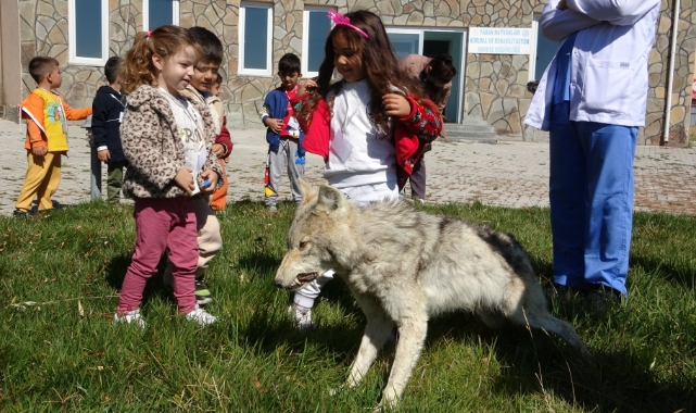 Van’da "4 Ekim Dünya Hayvanları Koruma Günü" etkinliği