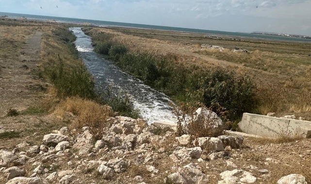 Van Gölü'ne kaçak deşarj yapan Büyükşehir Belediyesi'ne ceza