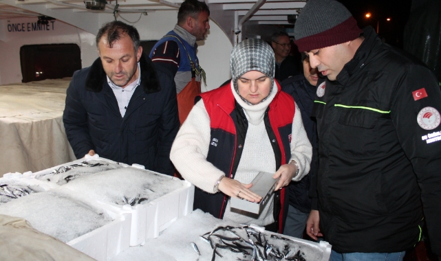14 günde bin 120 ton hamsi sevk edildi