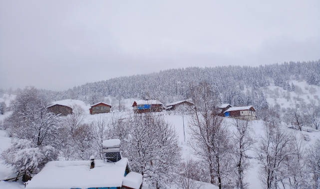 Artvin'de kar kalınlığının 1 metreyi