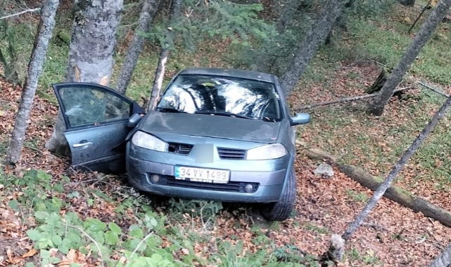 Bolu'da otomobil ormanlık alana uçtu   