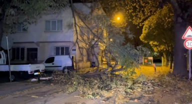 Bursa Büyükşehir Belediyesi lodosa karşı vatandaşları uyardı!
