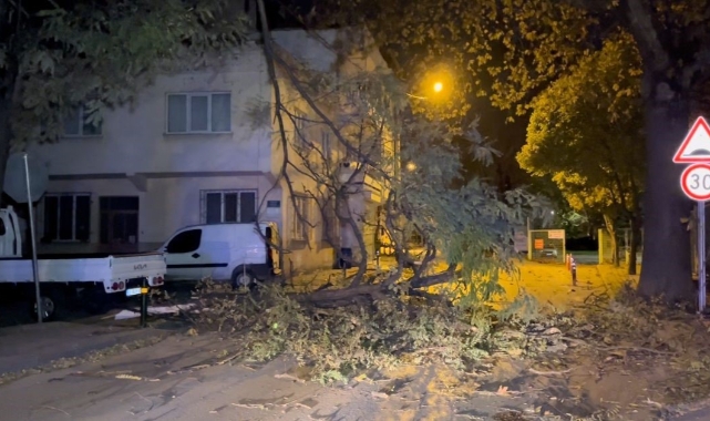 Bursa Büyükşehir Belediyesi lodosa karşı vatandaşları uyardı!