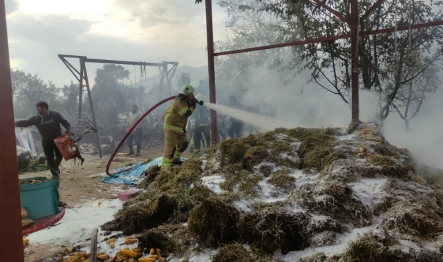 Bursa'da evin bahçesindeki samanlar alev alev yandı