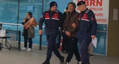 Bursa'da yasadışı kenevir yetiştiren 73 yaşındaki şahıs yakalandı