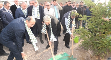 BUÜ'nün yanan ormanları yeniden yeşeriyor