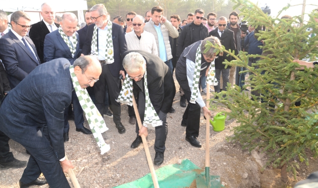 BUÜ'nün yanan ormanları yeniden yeşeriyor