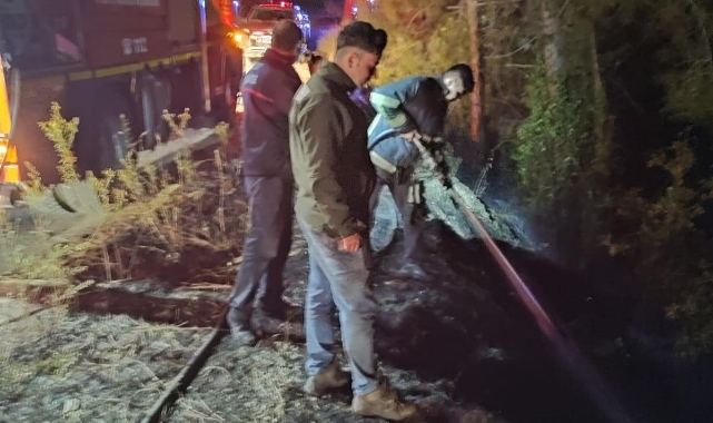 Dörtyol'da orman yangını