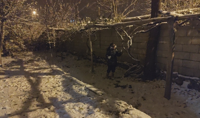 Erciş’e mevsimin ilk karı yağdı
