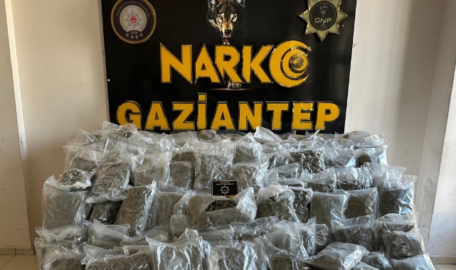 Gaziantep’te 104 kilo skunk ele geçirildi