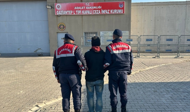 Gaziantep'te zeytin hırsızı suçüstü yakalandı