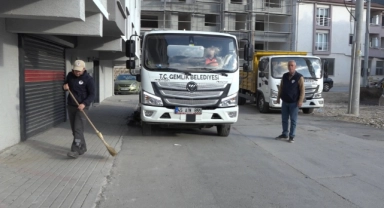 Gemlik Belediyesi boş arsaları temizliyor