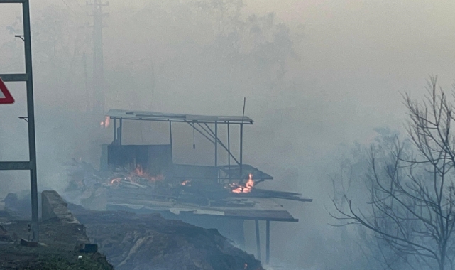 Hatay’da alevler evlere sıçradı