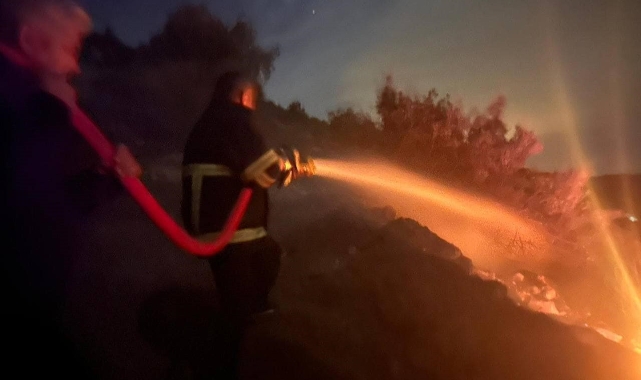 Hatay'da orman yangını!