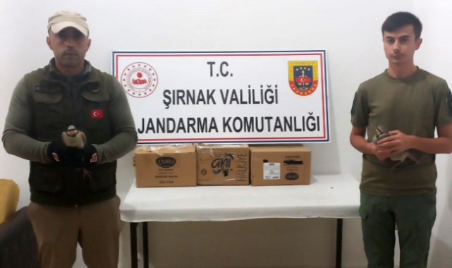 Jandarmanın dikkati ile 6 kınalı keklik kurtarıldı   