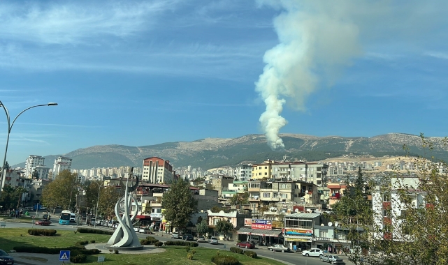 Kahramanmaraş'ta orman yangını 