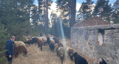 Kars’ta maskeli hırsızlar tarafından çalınan hayvanlar bulundu