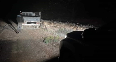 Kastamonu’da kamyonetle odun çalmaya çalışan şahıs yakalandı