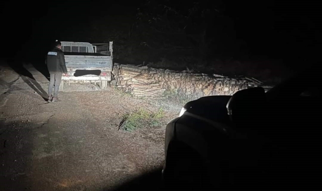 Kastamonu’da kamyonetle odun çalmaya çalışan şahıs yakalandı