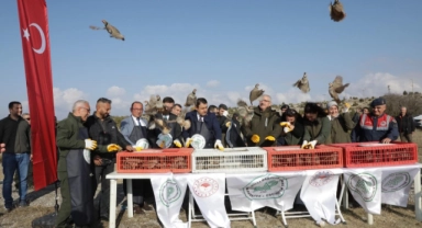 Kütahya’da yaban hayatına tam destek