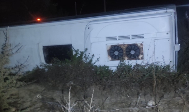 Minibüs yol kenarına devrildi