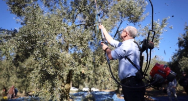 Mudanya zeytin turizmi projesiyle markalaşacak
