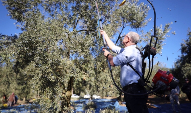 Mudanya zeytin turizmi projesiyle markalaşacak