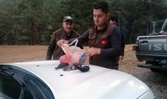 Muğla'da yasadışı avcılığa 23 bin TL ceza