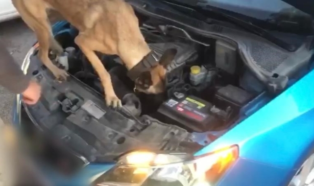 Narkotik Arama Köpeği ‘Eta' tacirlere geçit vermedi