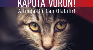 Osmangazi Belediyesi'nden 'Araca binmeden önce kaputa vur' çağrısı