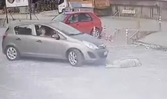 Otomobille köpeğin üzerinden geçti